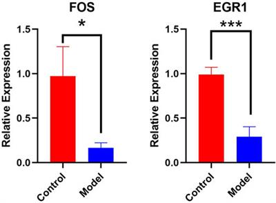 Analysis of microRNAs and the microRNA-messengerRNA regulatory network in chronic alcohol exposure